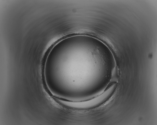 X0000094771122200711241311