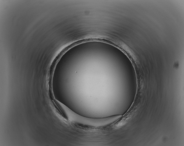 X0000094771124200711241311