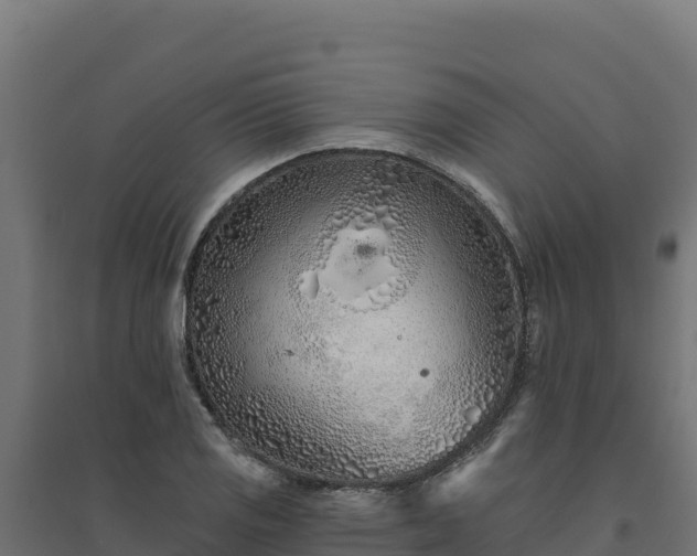 X0000094771125200711241311