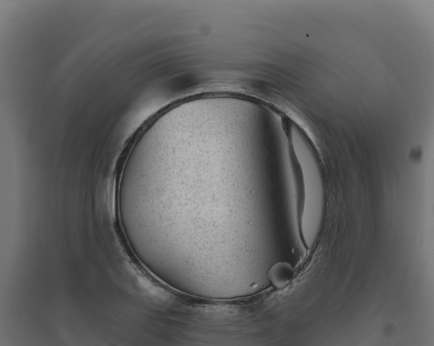 X0000094771127200711241311