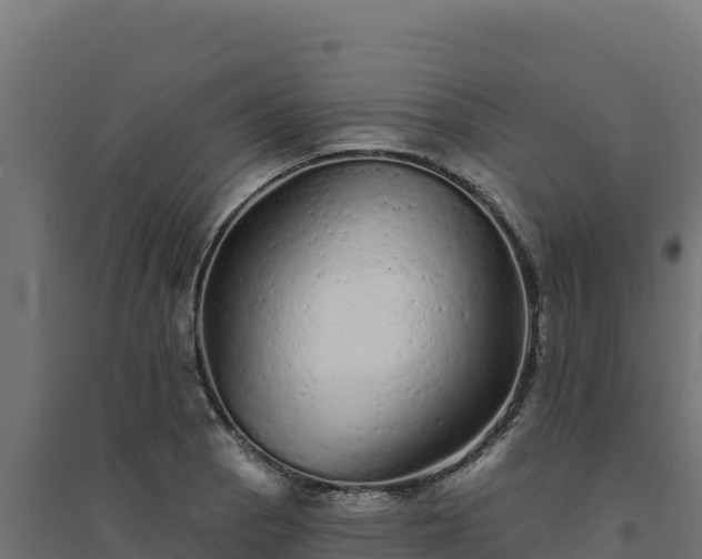 X0000094771129200711241311