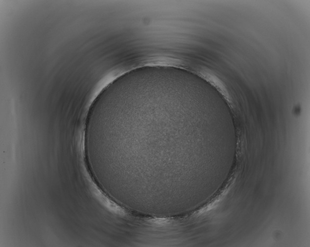 X0000094771130200711241311