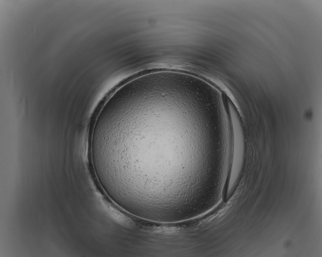 X0000094771131200711241311