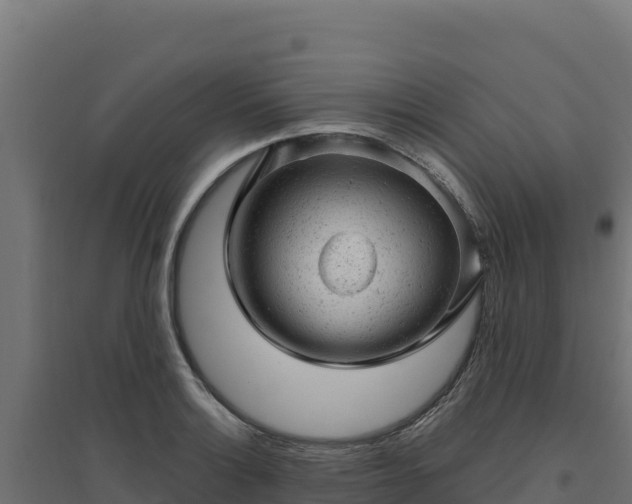 X0000094771132200711241311