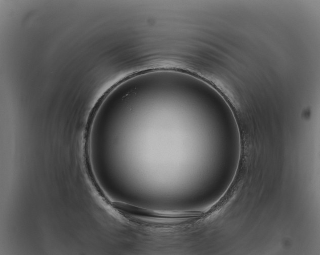 X0000094771134200711241311