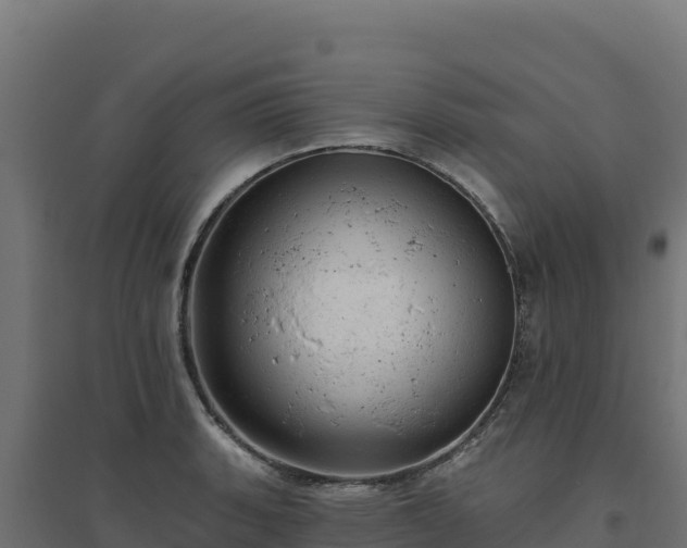 X0000094771135200711241311