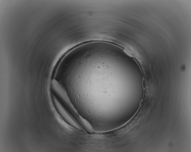 X0000094771136200711241311