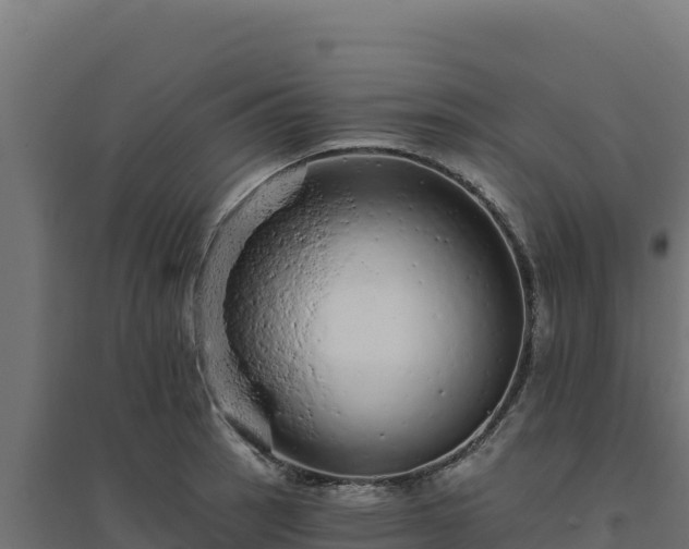 X0000094771137200711241311