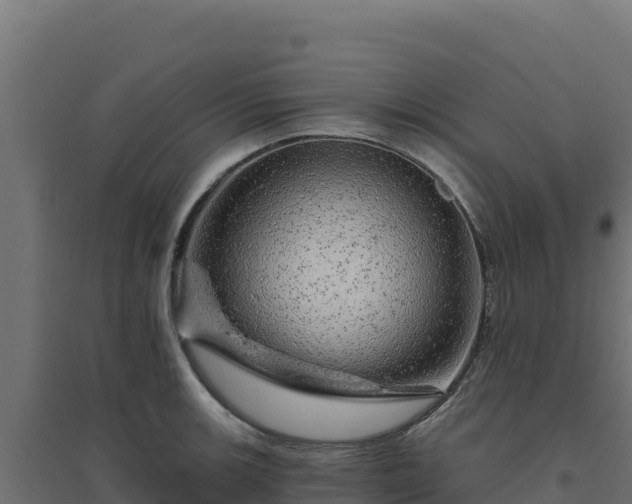 X0000094771139200711241311