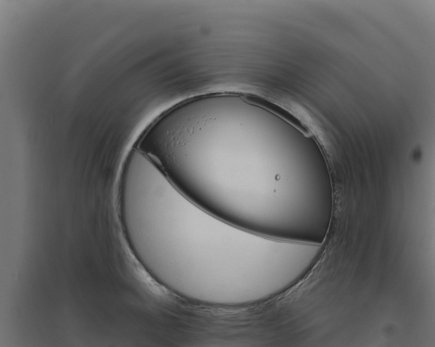 X0000094771140200711241311