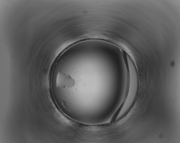 X0000094771141200711241311