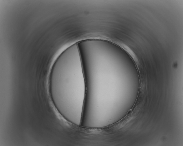 X0000094771144200711241311