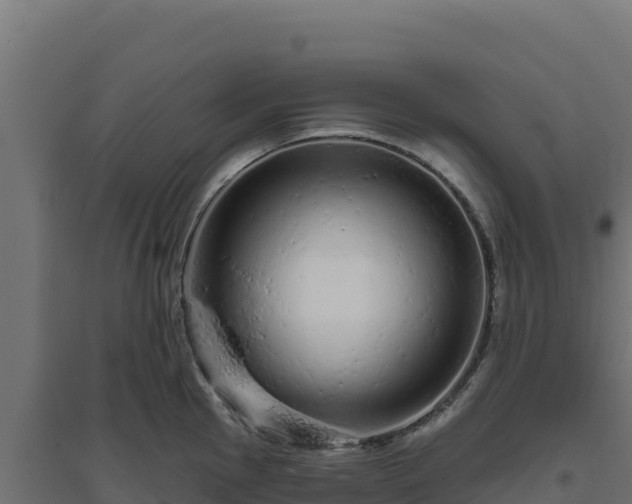 X0000094771145200711241311