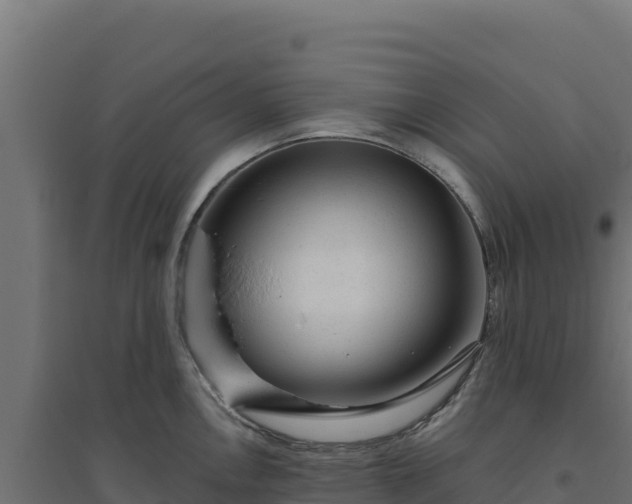 X0000094771146200711241311