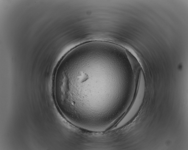 X0000094771147200711241311