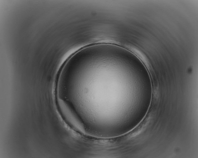 X0000094771149200711241311