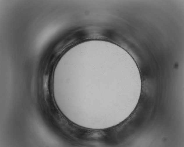 X0000094771150200711241311