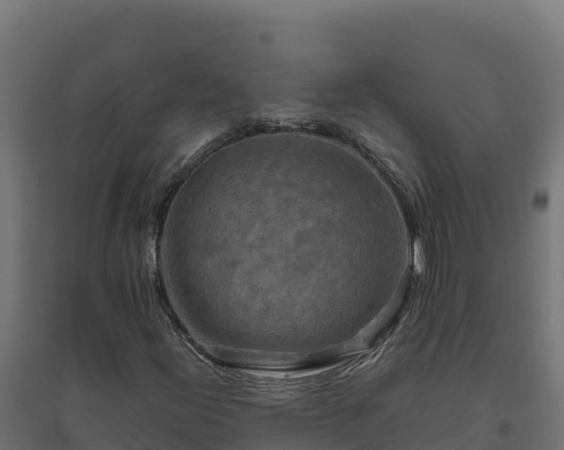 X0000094771155200711241311