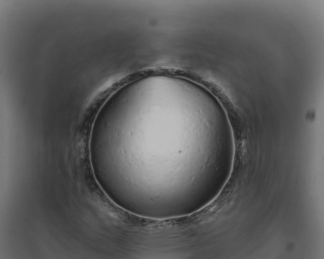 X0000094771159200711241310