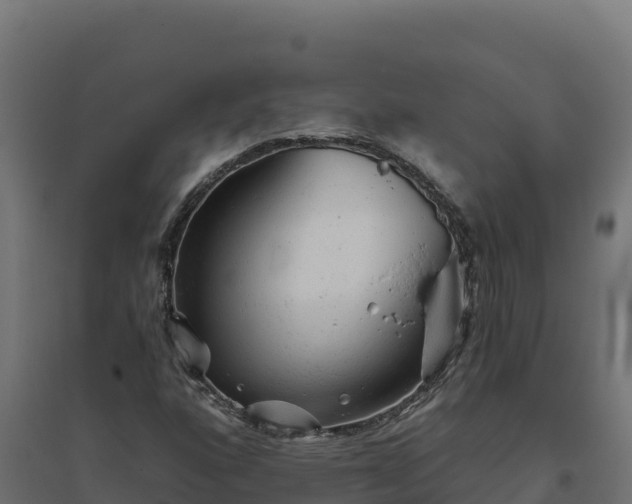 X0000094771160200711241310