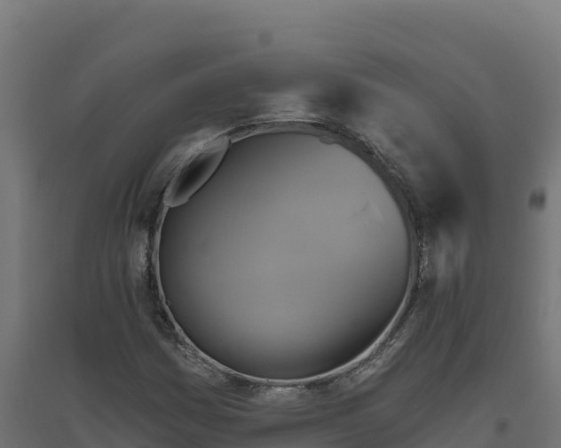 X0000094771161200711241310