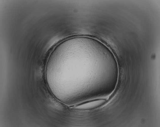 X0000094771163200711241310