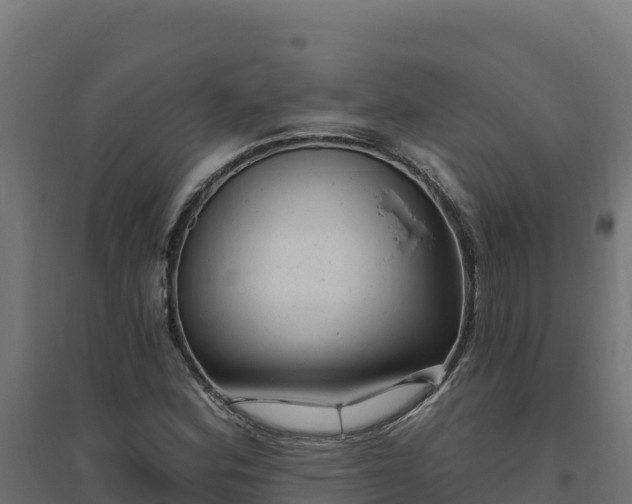 X0000094771164200711241310