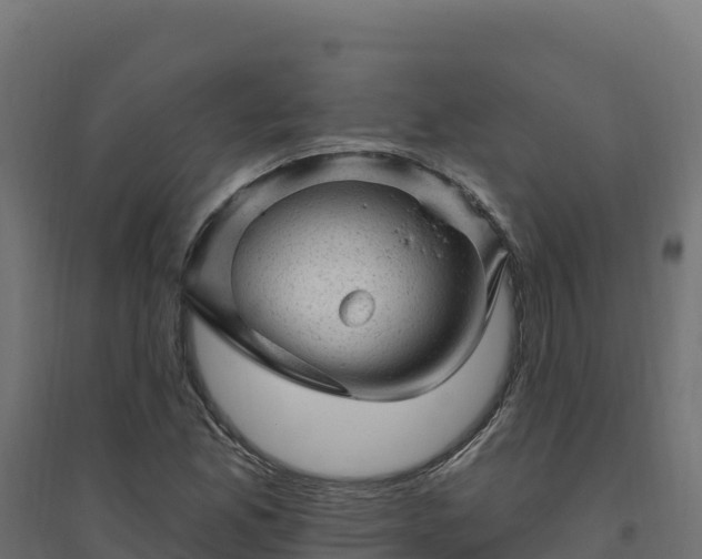 X0000094771165200711241310