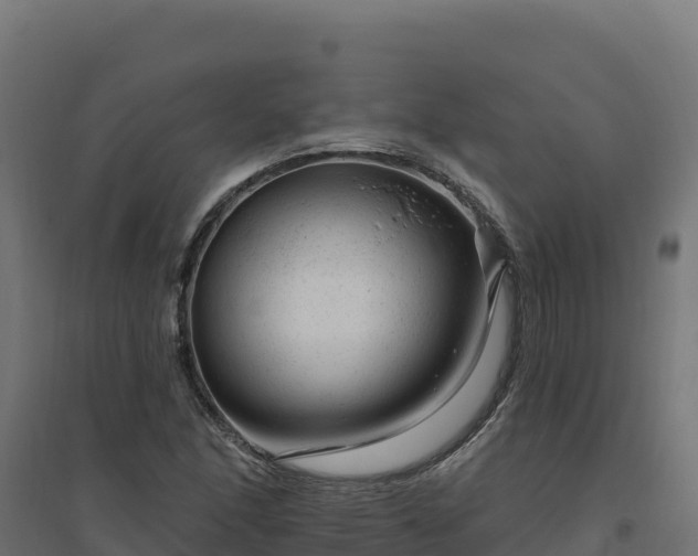 X0000094771166200711241310