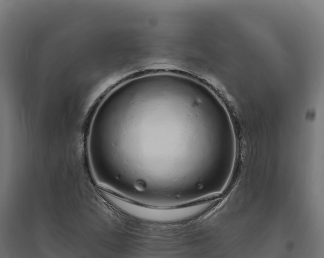 X0000094771167200711241310