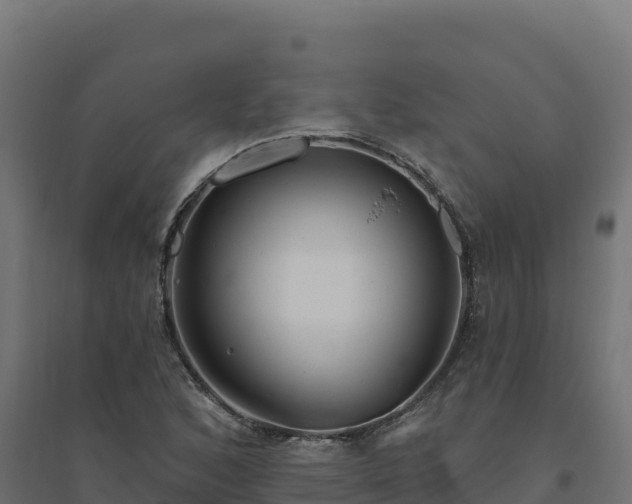 X0000094771168200711241310