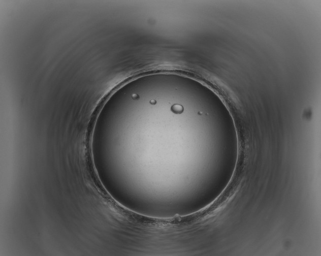 X0000094771170200711241310