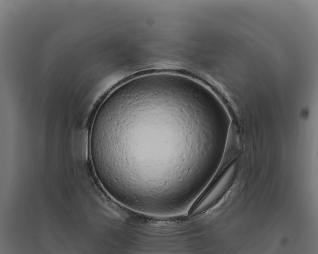 X0000094771171200711241310