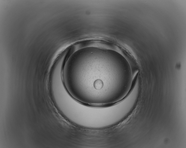 X0000094771172200711241310