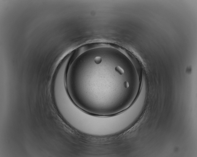 X0000094771173200711241310