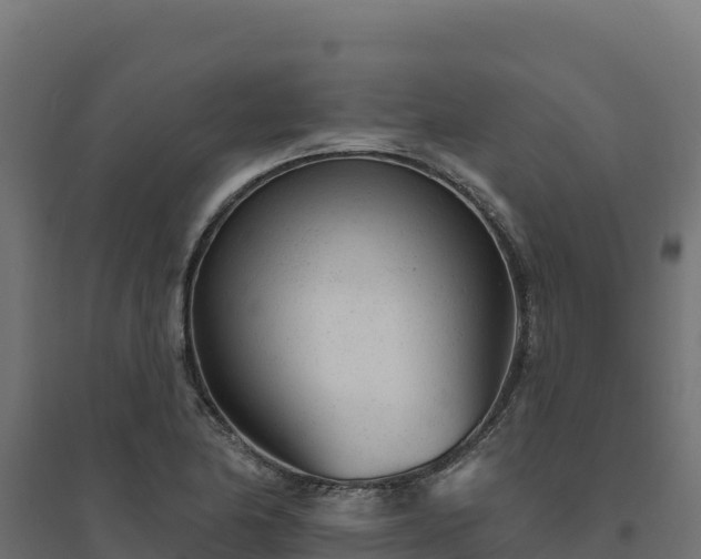 X0000094771174200711241310