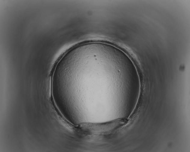 X0000094771175200711241310