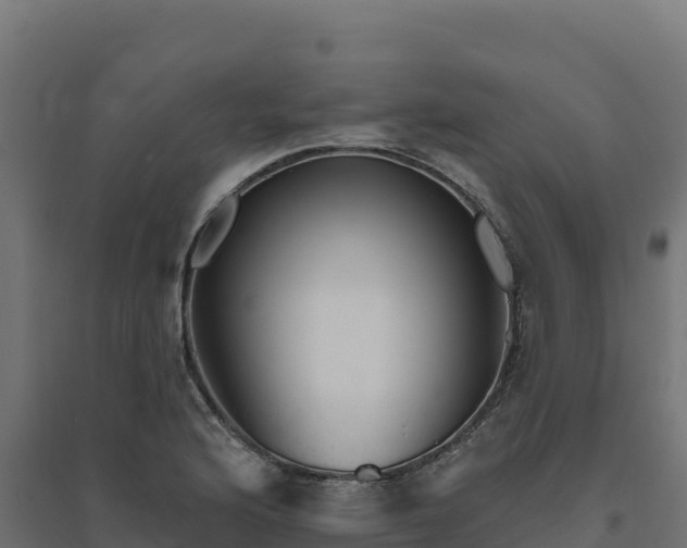 X0000094771176200711241310