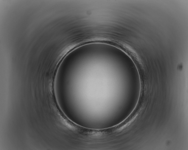 X0000094771177200711241310