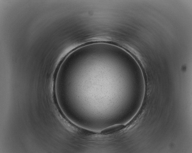 X0000094771179200711241310