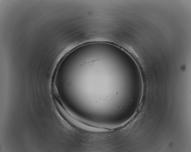 X0000094771181200711241310