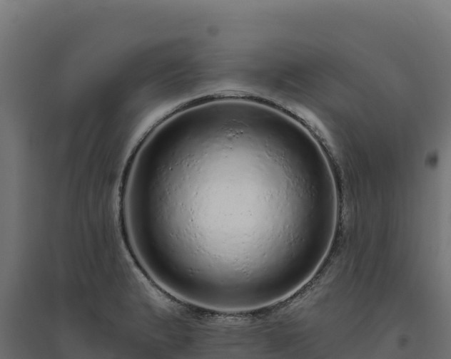 X0000094771183200711241310