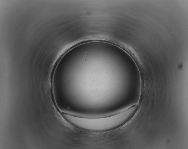 X0000094771184200711241310