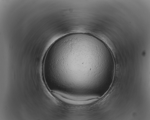 X0000094771187200711241310