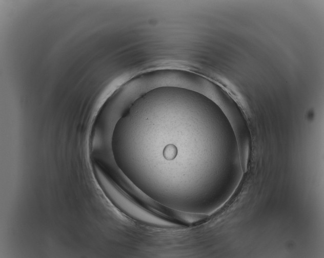 X0000094771188200711241310