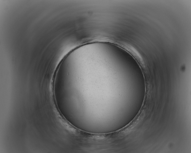 X0000094771190200711241310