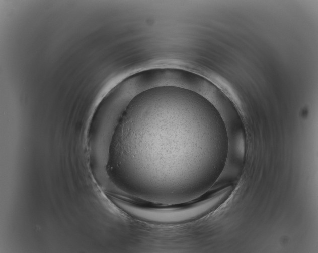 X0000094771192200711241310