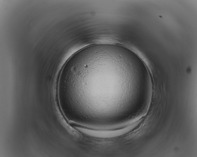 X0000094771195200711241310