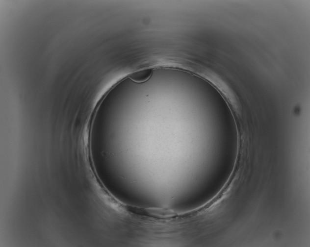 X0000094771198200711241310