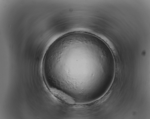 X0000094771199200711241310